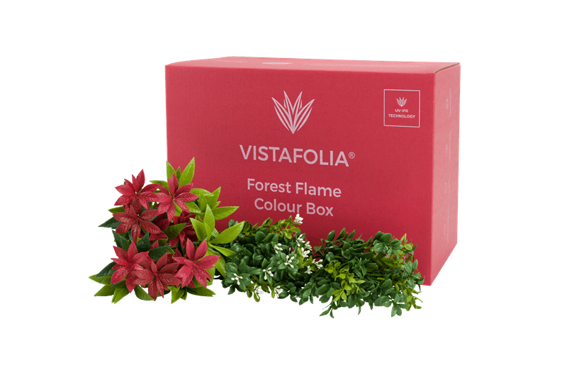 Forest-Flame-Colour-Box-PNG-min