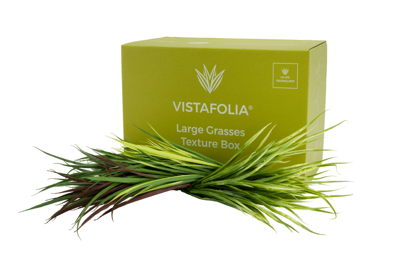 Large-Grasses-Texture-Box-PNG-min